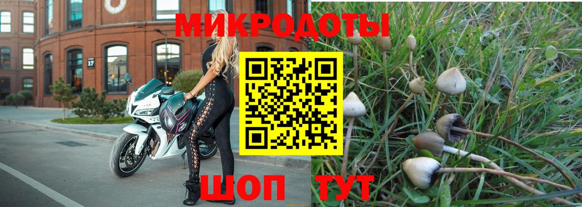 купить наркоту  Галлюциногенные грибы прущие грибы  Вход с VPN  Можга 