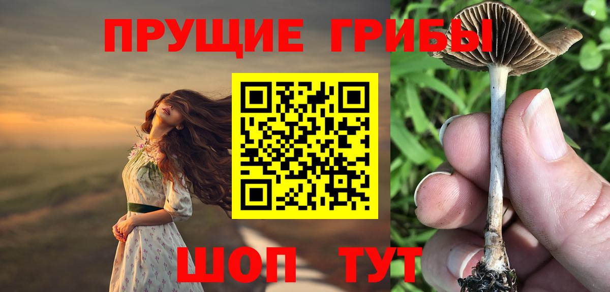 Галлюциногенные грибы прущие грибы Можга